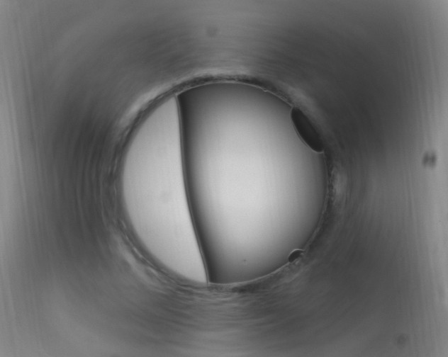 X0000113530684200909181000