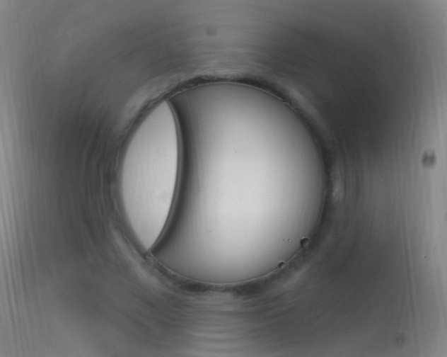 X0000113530685200909181000
