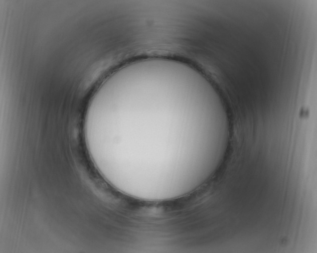 X0000113530687200909181000