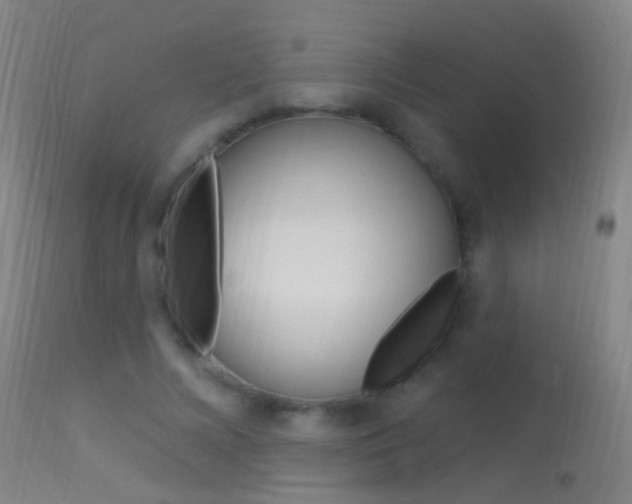X0000113530688200909181000