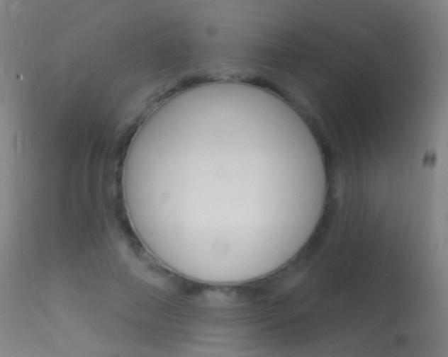 X0000113530690200909181000