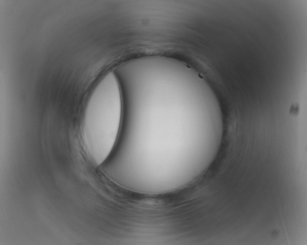 X0000113530691200909181000