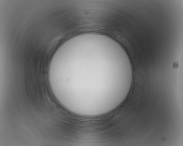 X0000113530693200909181000