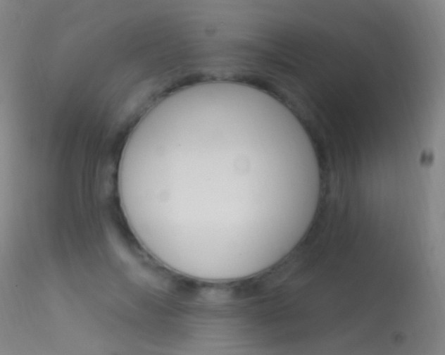 X0000113530694200909181000