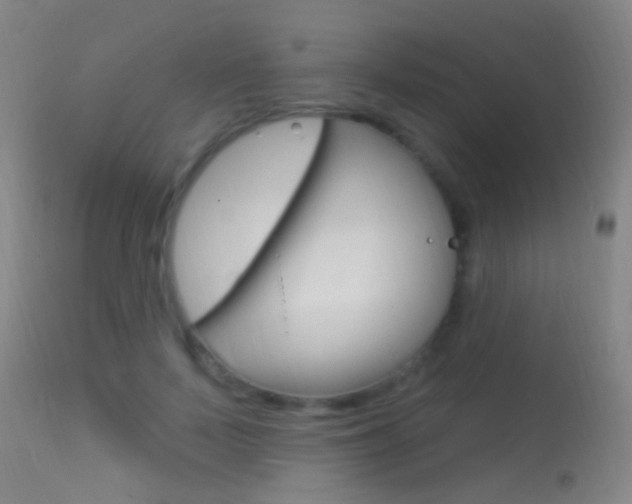 X0000113530695200909181000