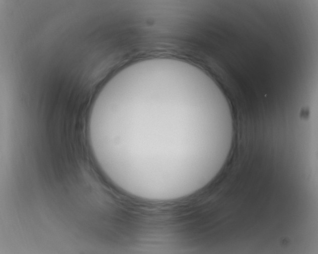 X0000113530696200909181000