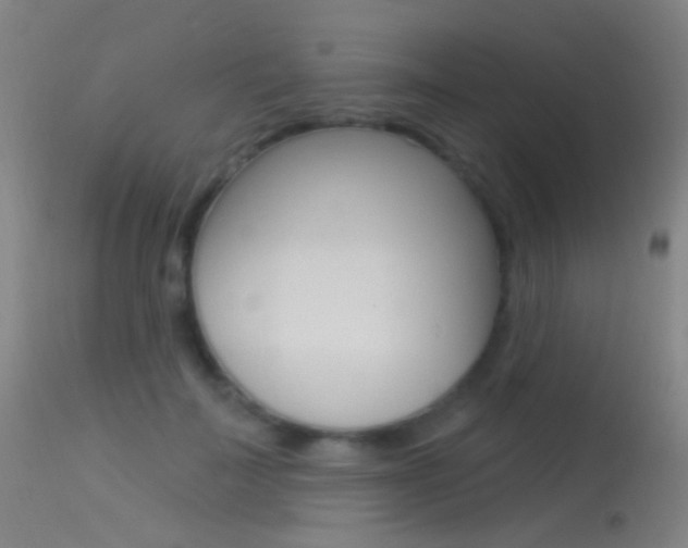 X0000113530699200909181000
