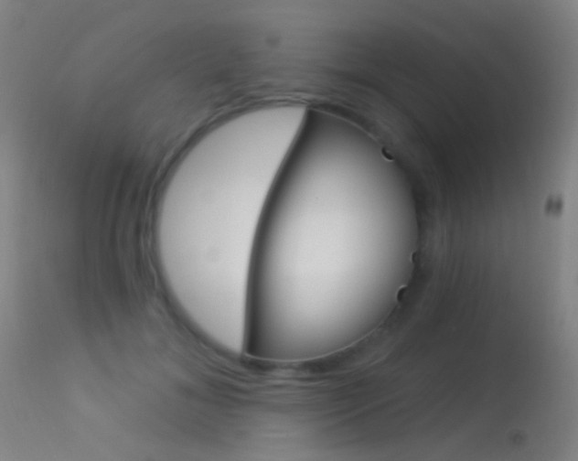 X0000113530700200909181000