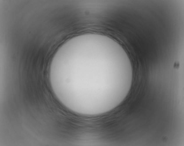 X0000113530701200909181000