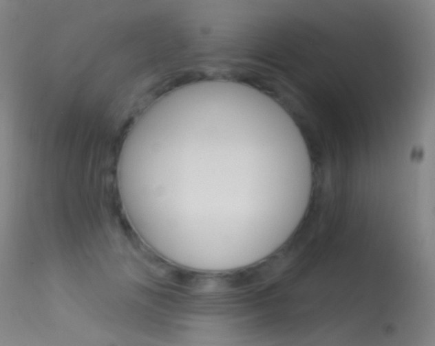 X0000113530702200909181000