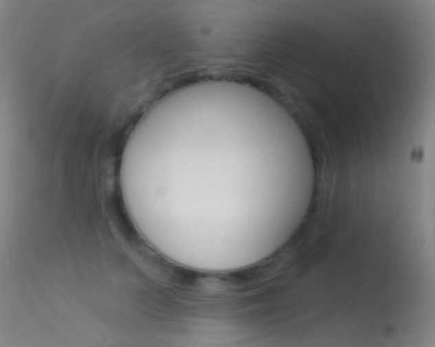 X0000113530703200909181000