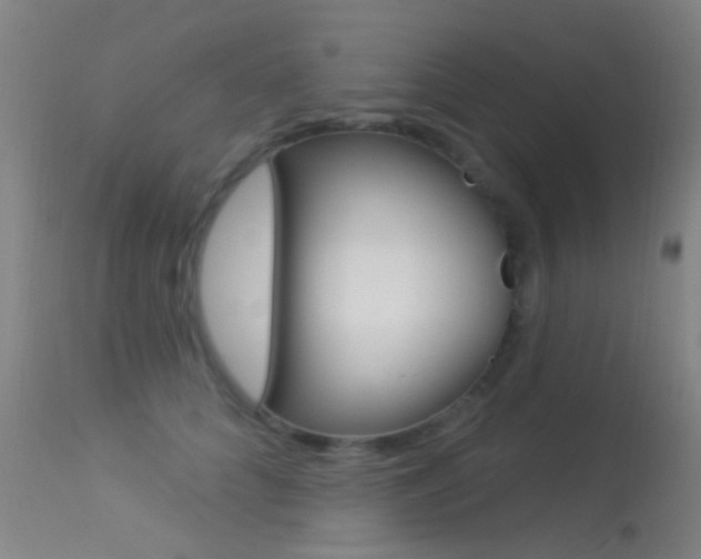 X0000113530704200909181000