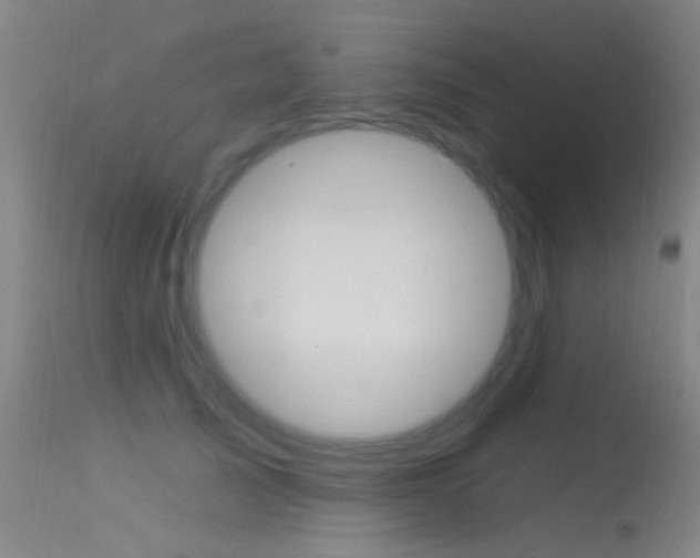 X0000113530705200909181000