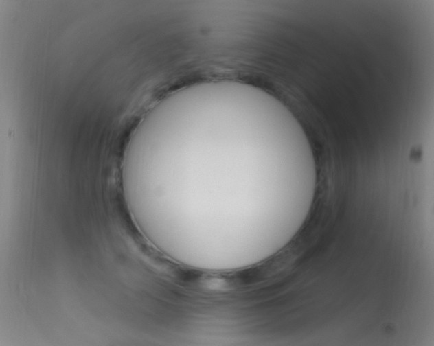 X0000113530706200909181000
