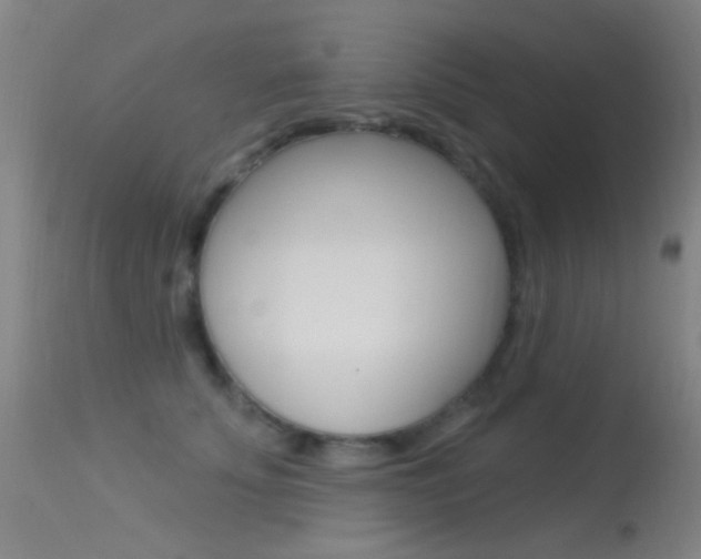 X0000113530707200909181000