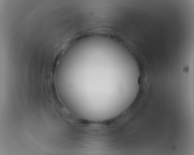 X0000113530708200909181000