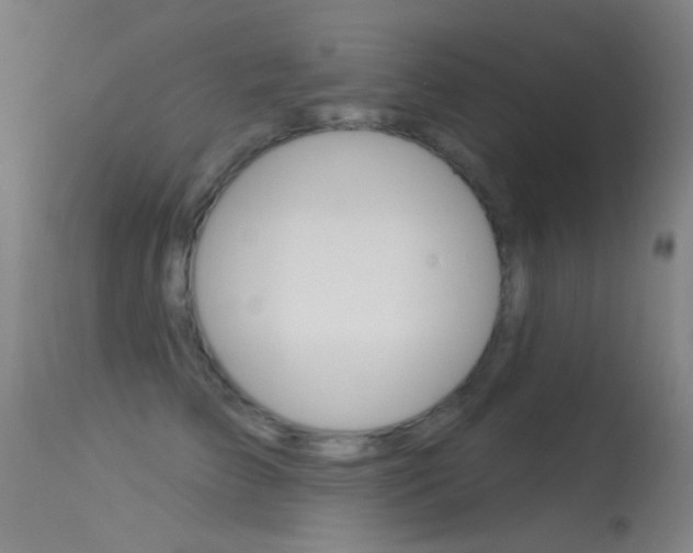 X0000113530709200909181000