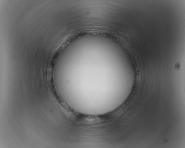 X0000113530712200909181000