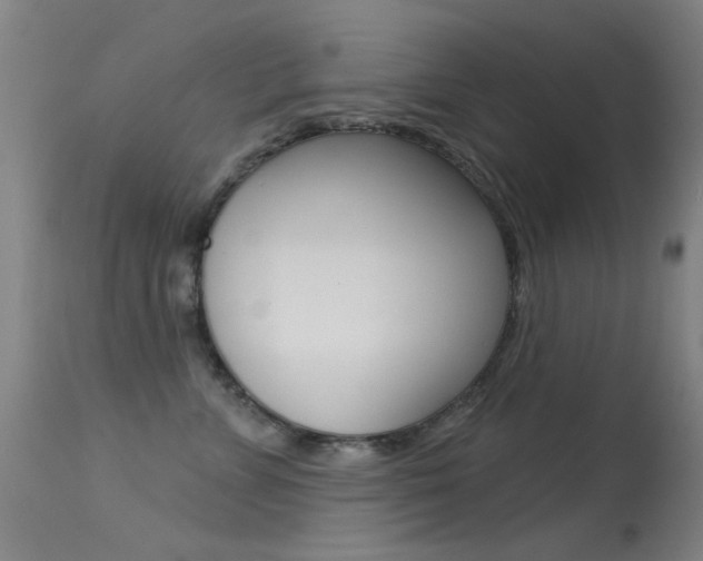 X0000113530715200909181000