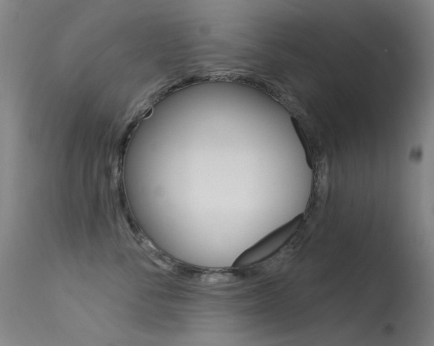 X0000113530716200909181000