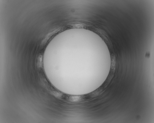 X0000113530717200909181000