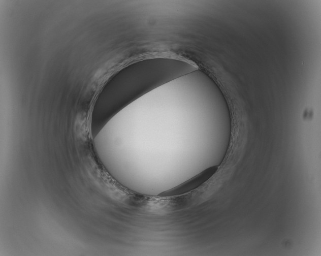 X0000113530720200909181000