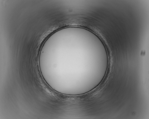 X0000113530721200909180959