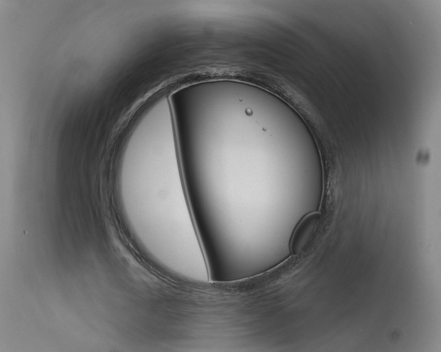 X0000113530722200909180959