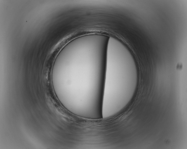 X0000113530723200909180959