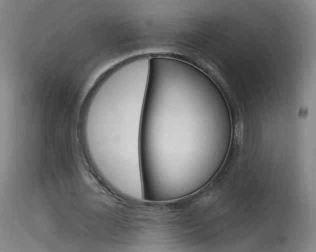 X0000113530724200909180959