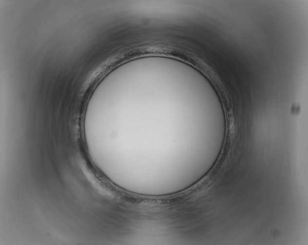 X0000113530725200909180959