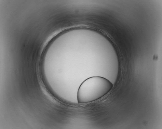 X0000113530726200909180959