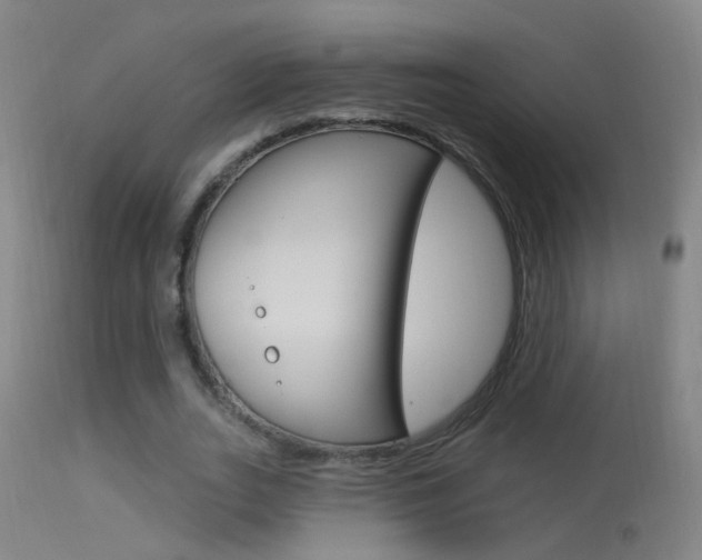 X0000113530727200909180959