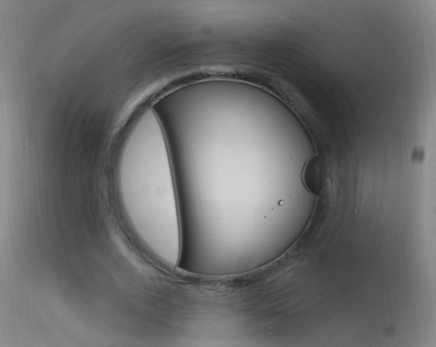 X0000113530728200909180959
