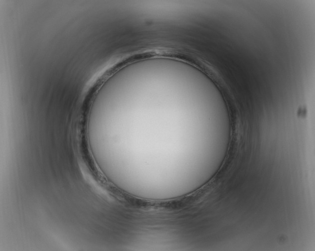 X0000113530730200909180959
