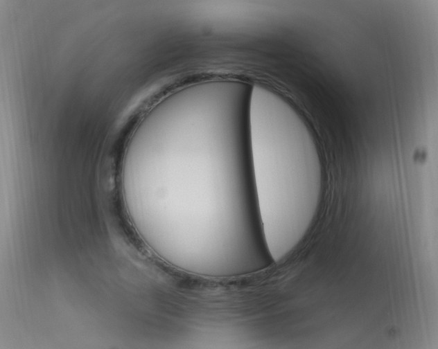 X0000113530731200909180959