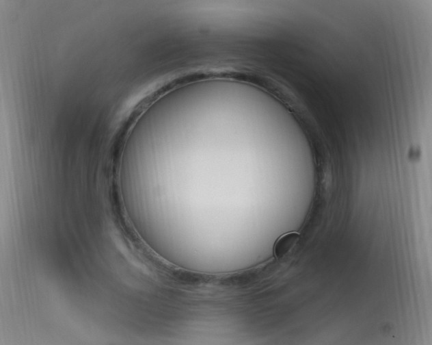 X0000113530732200909180959