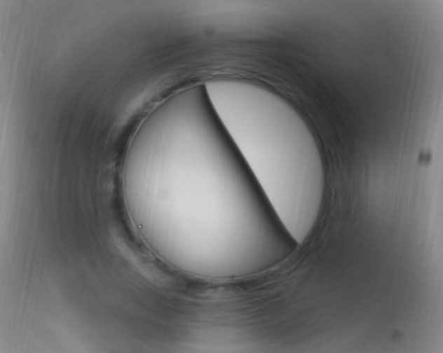 X0000113530735200909180959