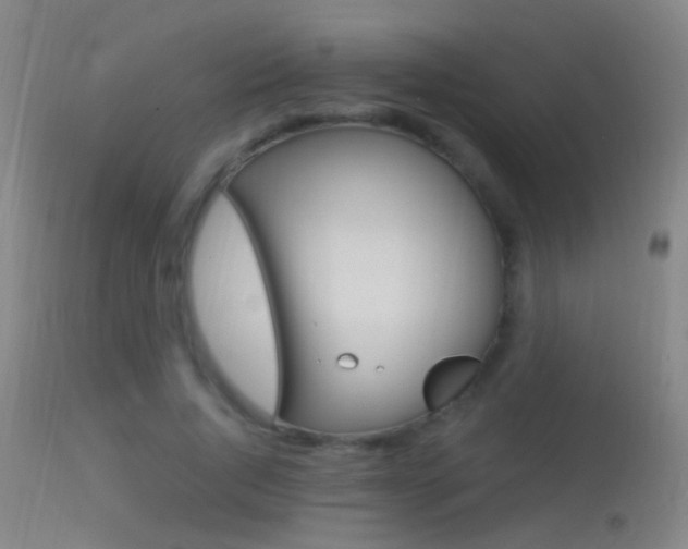 X0000113530736200909180959