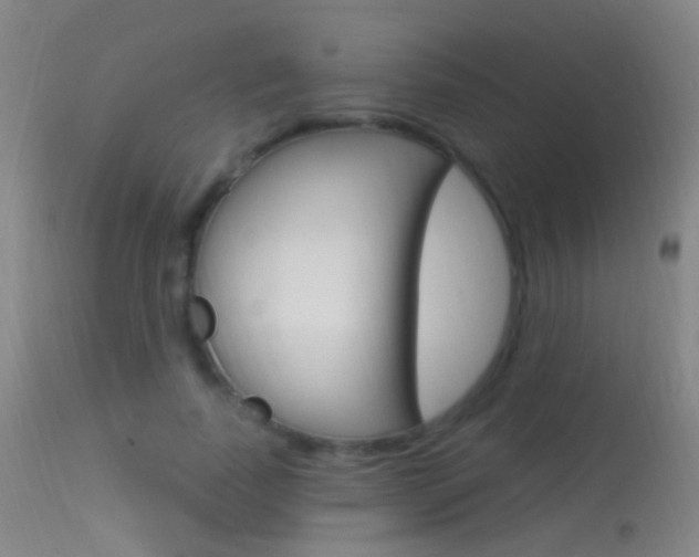 X0000113530739200909180959