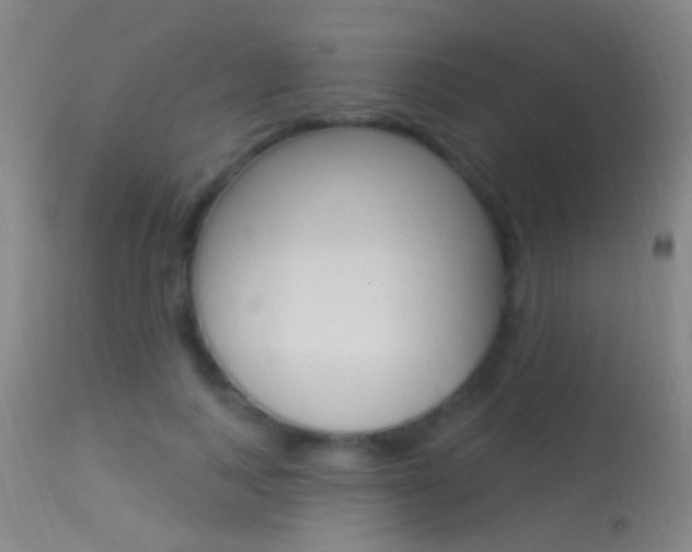 X0000113530743200909180959
