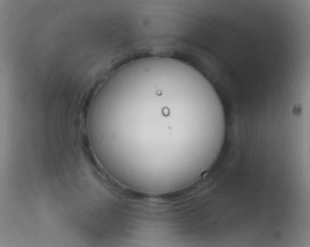X0000113530748200909180959