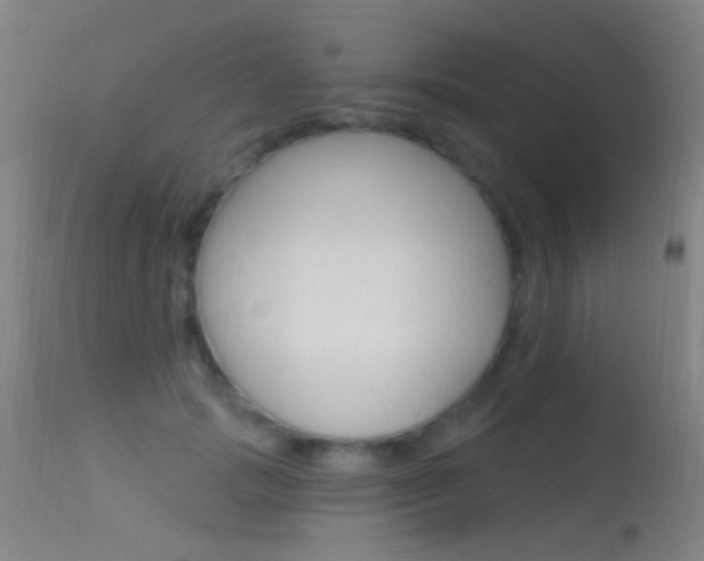 X0000113530749200909180959