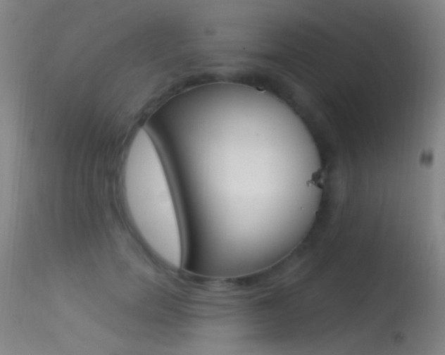 X0000113530750200909180959