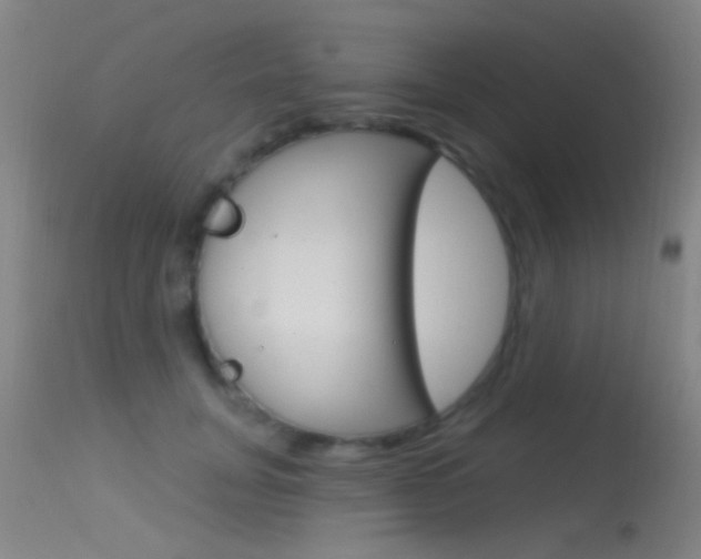 X0000113530751200909180959