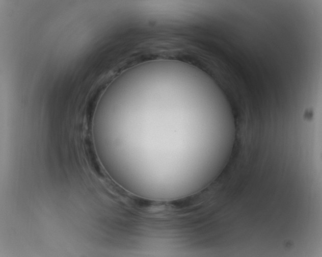 X0000113530752200909180959