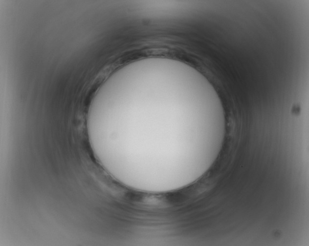 X0000113530753200909180959