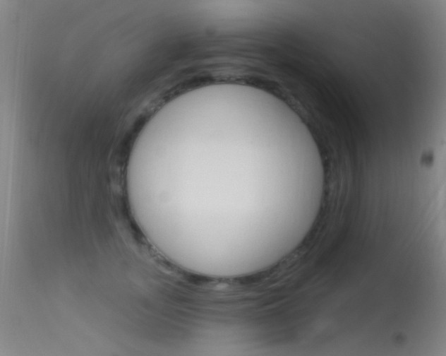 X0000113530755200909180959