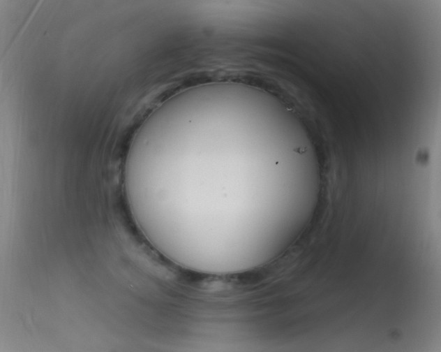X0000113530756200909180959