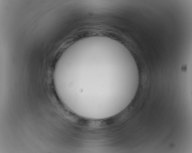 X0000113530757200909180959
